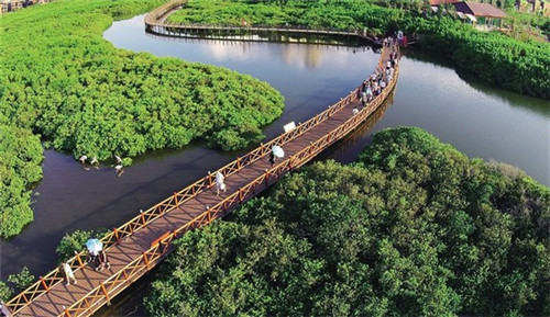 侯志伟手工酸辣粉