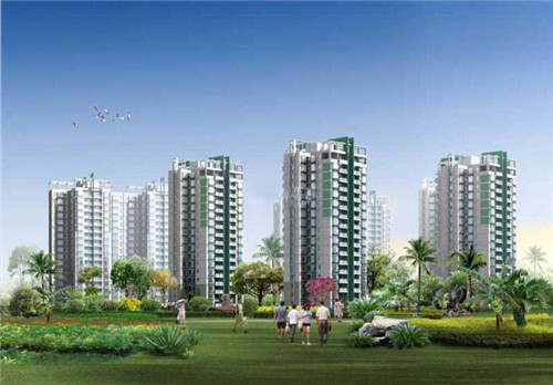 田源鸡毛肚火锅