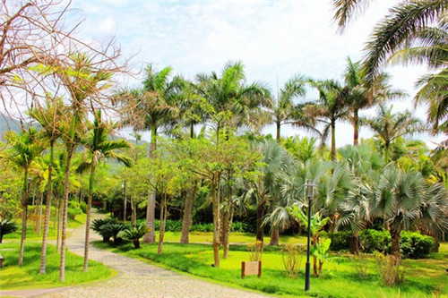 陈艳红市井火锅