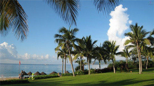 老滋味排骨米饭