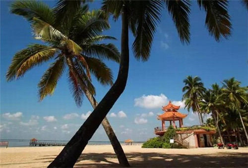 赶海鲜生小海鲜