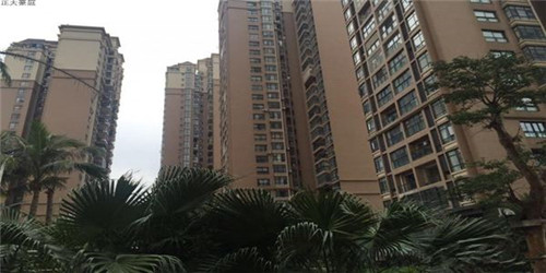 律车行汽车美容