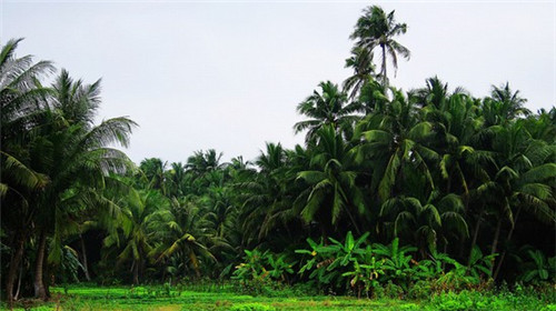 你的人生梦想是什么意思（人生的梦想怎么写）