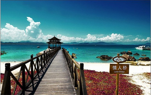 功率预测厂家十大排名（功率预测准确率）